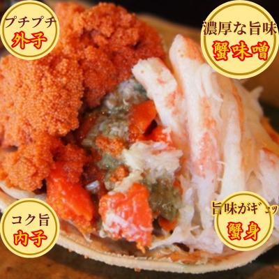 ふるさと納税 八頭町 【活き】訳あり足折れ日本海産親ガニ(セコガニ)　10枚 |  | 02