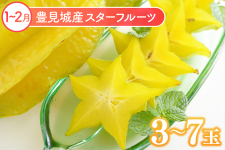 人気！沖縄フルーツ定期便（年6回）【マンゴー パッションフルーツ 定期便 果物 人気 おすすめ フルーツ くだもの フルーツ 定期】