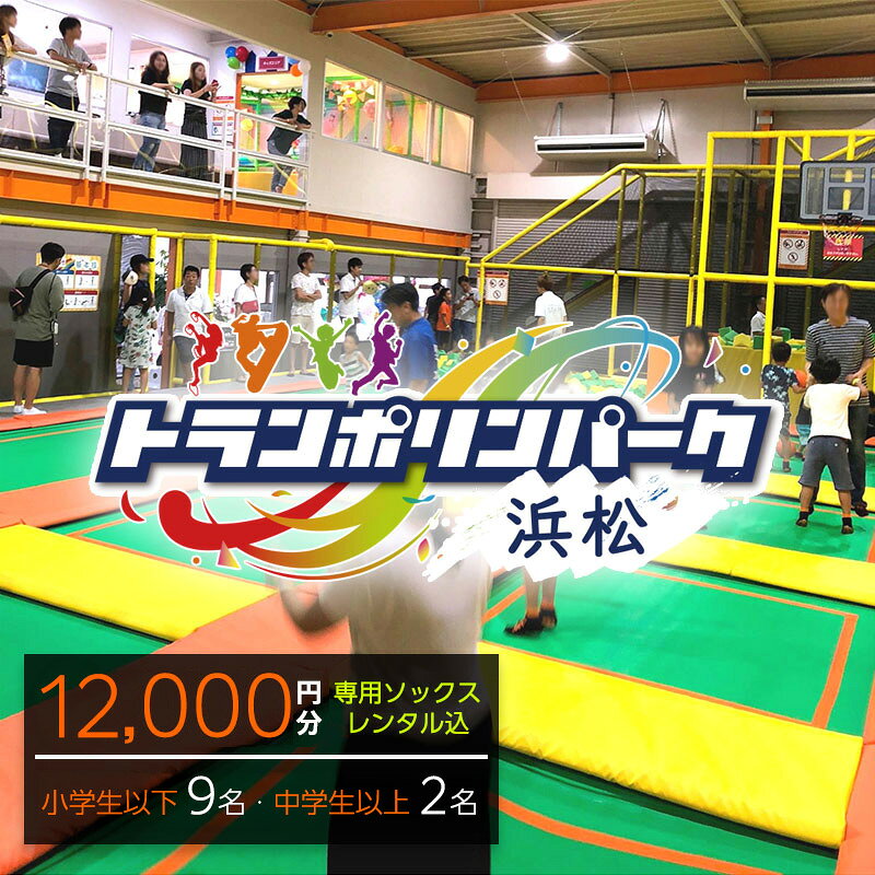 【ふるさと納税】【レジャー施設パーク浜松】ご招待券12,000円分 （ギフトカード　1,000円券×9枚　1,500円券×2枚）※デザイン全4種 ギフト レジャー施設 カード 静岡 浜松市