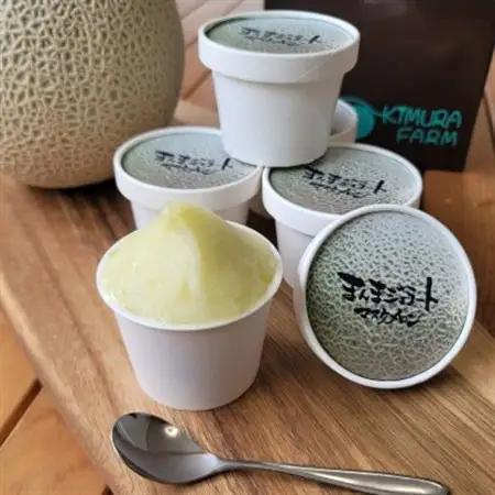 【まるでメロン!驚異の果汁70%】まんまジェラート ～マスクメロン～ 100ml×5個【配送不可地域：離島】【1494650】