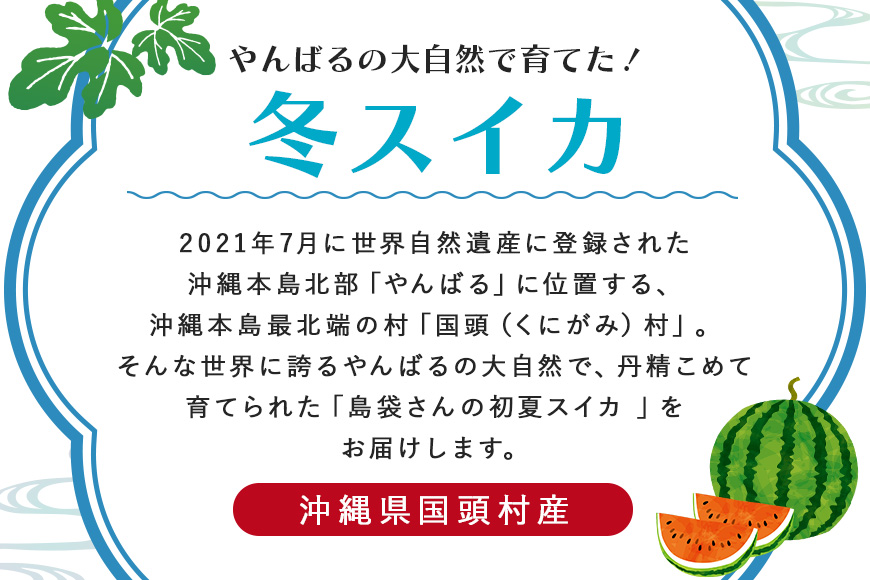 【2025年発送 先行予約】島袋さんの冬スイカ《4～5Kg×２玉》	