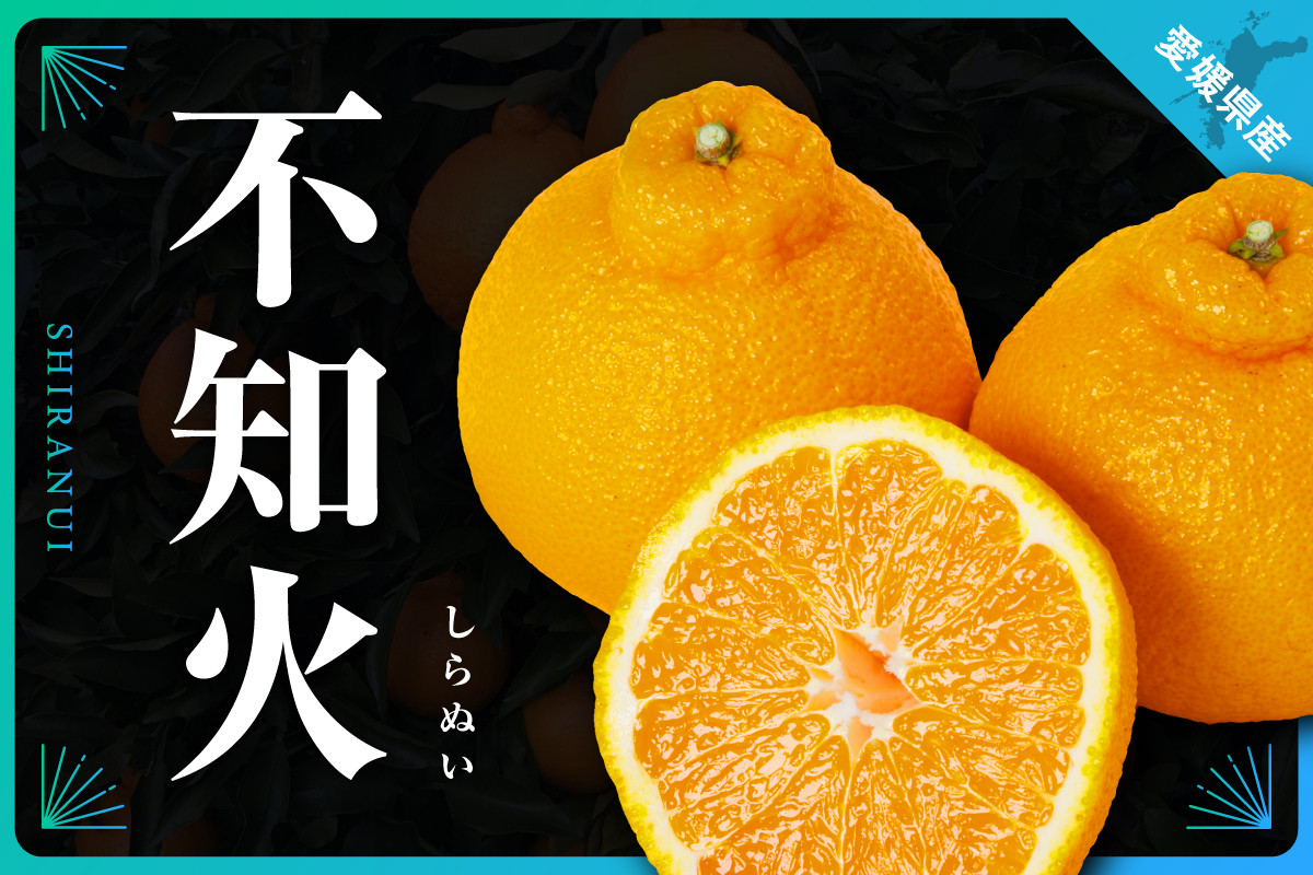 
            三代目がつくる不知火5kg＜C31-3＞【1042518】
          