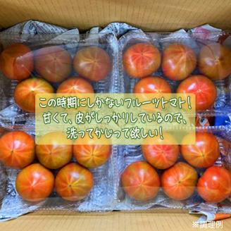 トマト好きにはこれだっぺ！この時期にしかない茨城のフルーツトマト！【令和4年4月から順次お届け】田舎の頑固おやじが厳選！