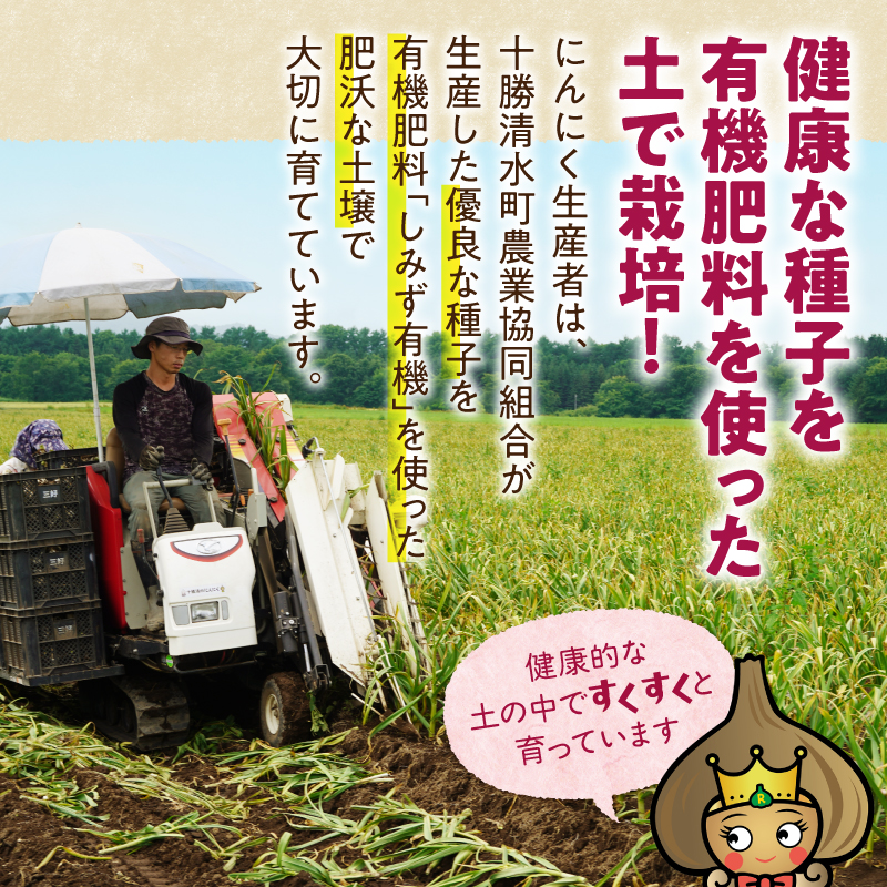 北海道 十勝 熟成 黒にんにく(6玉入) × 2箱 【 十勝清水町産 にんにく ニンニク 野菜 甘み フルーティー ガーリック 薬味 お取り寄せ 清水町  】