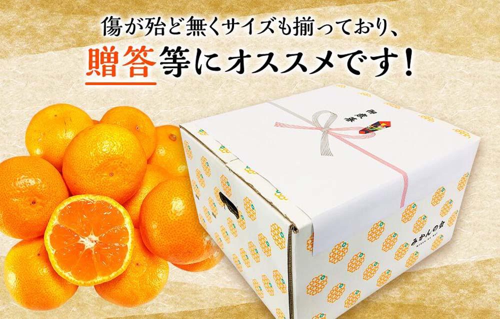 みかん Lサイズ 秀品 箱込 7.5kg (内容量約 6.8kg) 有田みかん 和歌山県産 産地直送 贈答用 ［2025年11月中旬より2026年1月中旬頃順次出荷予定］［みかんの会］