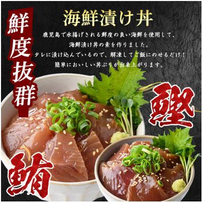 ふるさと納税 指宿市 まぐろ・かつおの海鮮漬け丼セット100g×10袋(IB039-008) |  | 01