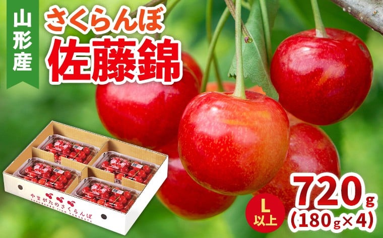 
            さくらんぼ(佐藤錦) Lサイズ 720g(180g×4パック) 【令和8年産先行予約】FS25-046
          