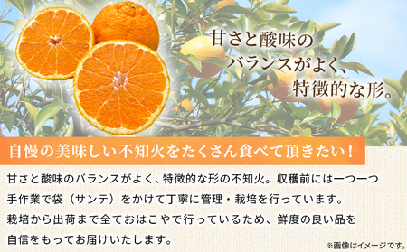 ＜おはこやがつくる おはこデコ（不知火）約2kg（L～3Lサイズ）＞ 果物 フルーツ 柑橘 しらぬい みかん 特産品 西宇和 愛媛県 西予市【常温】『2026年2月上旬～2月下旬迄に順次出荷予定』MO