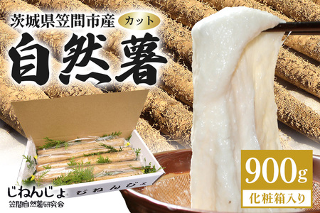 自然薯 カット 約900g 笠間自然薯研究会 DG-003