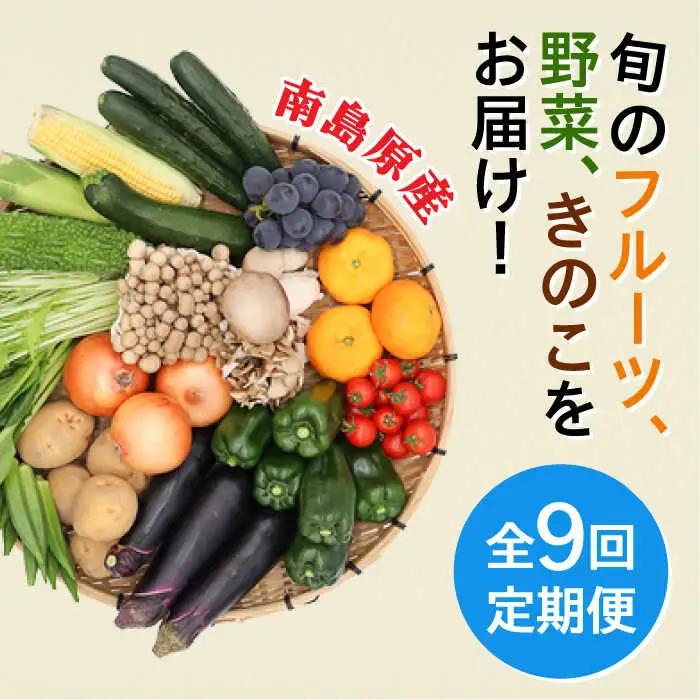【9回定期便】野菜定期便 吉岡青果[SCZ024]