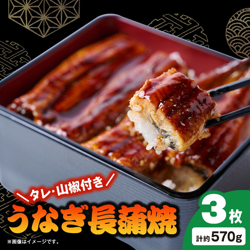 【ふるさと納税】うなぎ長蒲焼約570g(約190g×3)【配送不可地域：離島】【1743609】