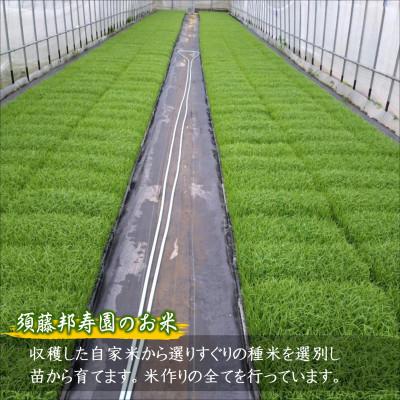 ふるさと納税 松浦市 【毎月定期便】須藤邦寿園の白米 通算9回特A獲得米 にこまる 5kg全3回 |  | 02