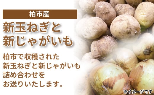 
柏市産新玉ねぎ（約5kg）と新じゃがいも（約5kg）詰め合わせ
