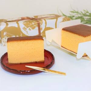 【職人が手焼き・地元で人気の阪場のカステラ】食べきりサイズ2個セット 〈夏季用〉【配送不可地域：離島】【1651085】