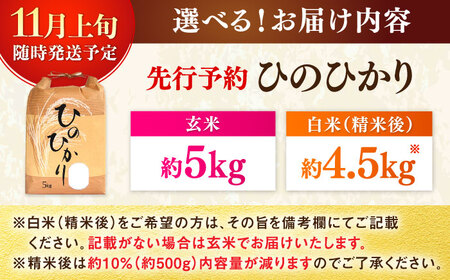 【先行予約】佐賀県産米（ひのひかり）5kg 玄米 / 玄米 玄米 玄米 玄米 玄米 玄米 玄米 / 佐賀県 / 一般社団法人 龍乃 [41ANAC104]