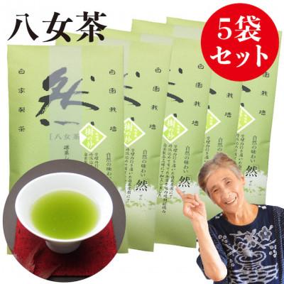 ふるさと納税 八女市 綺麗な「然」パッケージ!樹の抄(いつきのしょう)100g入り5袋セット