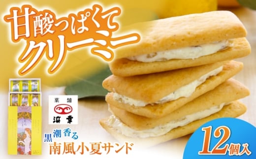 南風小夏サンド 12個入 / 高知 お菓子 おやつ 小夏 サブレ 手土産 贈答 【株式会社 浜幸】 [ATDY002]
