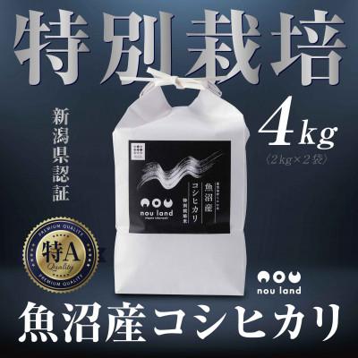 ふるさと納税 十日町市 【令和7年産 新米予約】 魚沼産 コシヒカリ 特別栽培米 4kg 新潟県 十日町市 のうランド