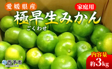先行予約＜愛媛県産 極早生みかん 約3kg ご家庭用＞ 温州みかん 家庭用 訳あり 果物 ミカン 柑橘 フルーツ 選べる 食べて応援 特産品 段畑みかん 愛媛県 西予市【常温】『2025年9月中旬～10月中旬迄に順次出荷予定』ADM0018