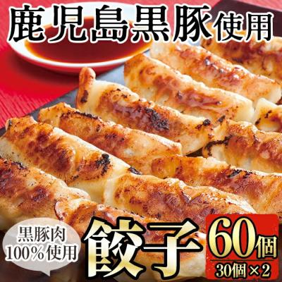 ふるさと納税 霧島市 鹿児島黒豚餃子60個(30個×2)【九面屋】A-109