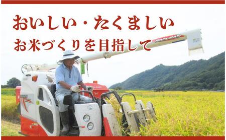 お米 コシヒカリ 米 令和7年産 20kg 関口さんちのお米