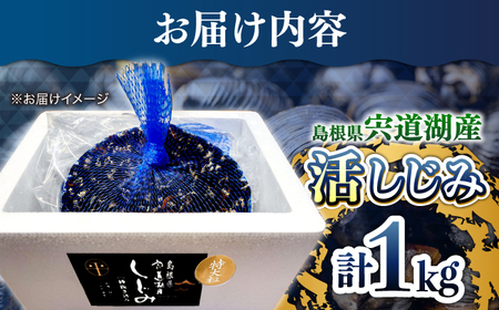 しじみ 新鮮採れたて！宍道湖産活大和しじみ特大粒1kg(砂はき済み)  島根県松江市/平野缶詰有限会社[ALBZ022] しじみ しじみ