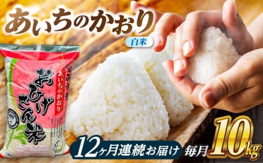 【12回定期便】あいちのかおり 白米 10kg×12ヵ月 愛西市 / 脇野コンバイン [AECP009]