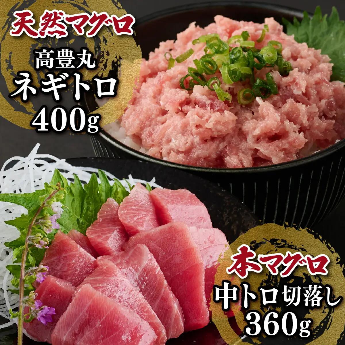 天然 本マグロ 中トロ 刺身 と 天然マグロ ネギトロ セット まぐろ 刺身 海鮮 冷凍 魚 海産物 魚介類 父の日 高知県 まぐろたたき 鮪