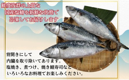 国産塩鯖 特大サイズ ７尾 約4kg 冷凍 銚子 さば サバ 鯖 国産 塩 美味しい 国産鯖 青魚 塩鯖 新鮮 海鮮 バーベキュー さば サバ 鯖 塩鯖 塩さば 千葉県 銚子市 さば サバ 鯖 塩鯖 