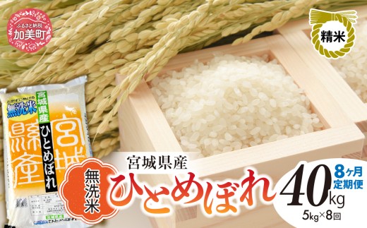 【8回 定期便】【新米予約】無洗米 令和8年産 宮城 ひとめぼれ 計40kg（5kg×8回）｜ 菅原精米工業 宮城県 加美町 sw-hb05-mu-t8-r8 ｜ ヒトメボレ 米 コメ ごはん お米