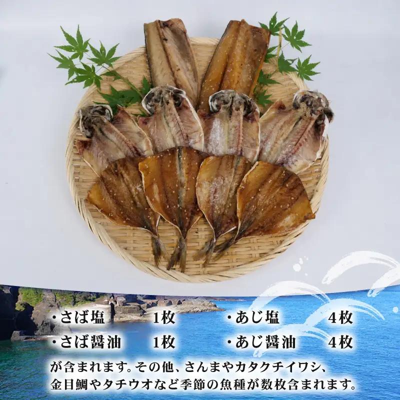 干物 詰め合わせ セット 10枚 + 季節のひもの 干物