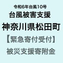 【ふるさと納税】【令和6年台風10号被害支援緊急寄附受付】神奈川県松田町災害応援寄附金（返礼品はありません）