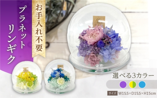 【イエロー×グリーン】プラネットリンギク　プリザーブドフラワー アレンジメント お花ギフト / 大村市 サニーサイドファクトリー [ACCK042]
