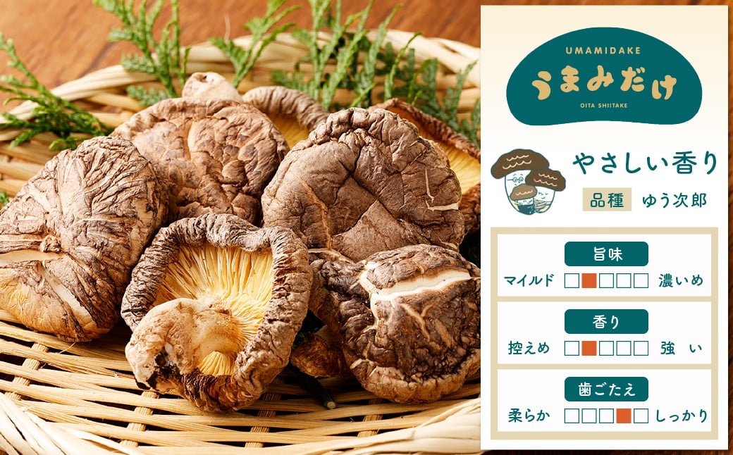 015-602x2 うまみだけ 食べくらべセット 40g×8袋 計320g しいたけ きのこ 豊後大野市