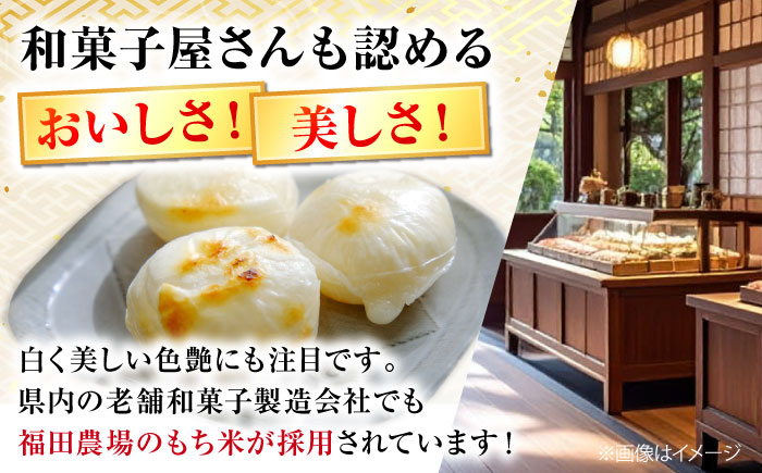 【先行予約】＜12月25日～年内順次発送＞ 杵つき餅 ひら餅 10個×3 お餅 杵つき 餅 おせち モチ 雑煮 広島 三次市 / 福田農場 [APBM014]