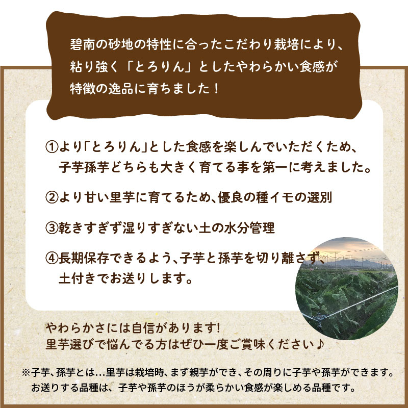 【お試し】とろける里芋『とろりん』　土付き　1.8kg　H097-025