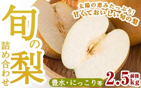 A-138 ＜先行予約受付中！2026年8月中旬～10月上旬の間に発送予定＞梨詰め合わせ(約2.5kg前後)【さくら農園】なし 梨 豊水 フルーツ 果物 期間限定