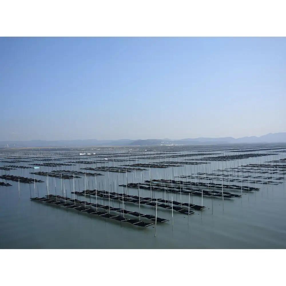 【福岡有明のり】本場福岡有明海栽培海苔 海王 一番摘み 焼海苔 [全形5枚入り7袋］