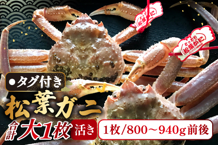 【活き】タグ付き松葉ガニ　大　１枚