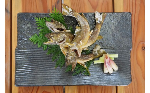 天然鮎 約1kg (7～15尾) こだわりの冷凍 天然 あゆ 川魚 塩焼き 天ぷら 甘露煮 さかな料理 岩手県 北上市 和賀川淡水漁業協同組合 C0621