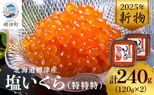 
            ＜令和7年新物＞塩いくら120g×2パック 塩漬け イクラ 北海道 人気 おすすめ 小分け 天然_いくら 塩漬け 冷凍 小分け 鮭 鮭卵 国産 本場 北海道産【1572815】
          