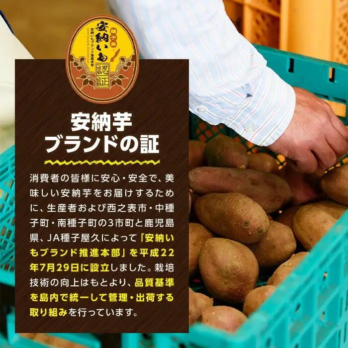 安納芋 Mサイズ・10kg 紅 さつまいも 数量限定 種子島産 【JA種子屋久】n046