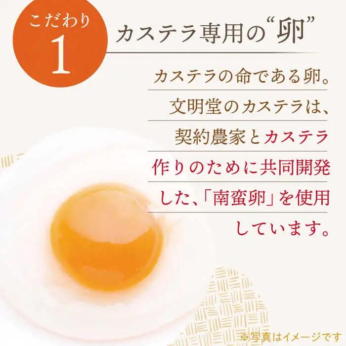 【全12回定期便】「こだわりの逸品」長崎 カステラ  [1.2号] 計24本（0.6号10切入×2本入/回）【文明堂総本店】[QAU022]