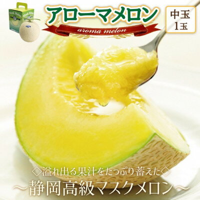 【ふるさと納税】【通年出荷】アローマメロン(中玉)1玉入【静岡高級マスクメロン】_ メロン めろん アローマメロン 化粧箱 1玉 果物 くだもの フルーツ デザート 甘い 贈答 ギフト プレゼント 産地直送 静岡県 送料無料 【配送不可地域：離島・北海道・沖縄県】【1447114】