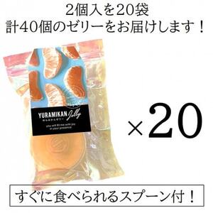 みかんの美味しさそのまま!無水みかんゼリー詰め合わせ 40個入(2個入×20袋)スプーン付【1519754】