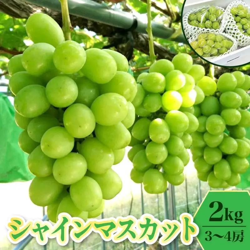 ぶどう（シャインマスカット）２ｋｇ　0009-2609
