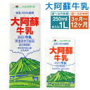 【ふるさと納税】【選べる定期便】大阿蘇牛乳 3ヶ月/6ヶ月/12ヶ月 250ml×24本/1L×6本 選べる内容量 定期便 牛乳 成分無調整牛乳 生乳100%使用 乳飲料 乳性飲料 らくのうマザーズ ドリンク 飲み物 飲料 セット 紙パック 常温保存可能 ロングライフ 送料無料