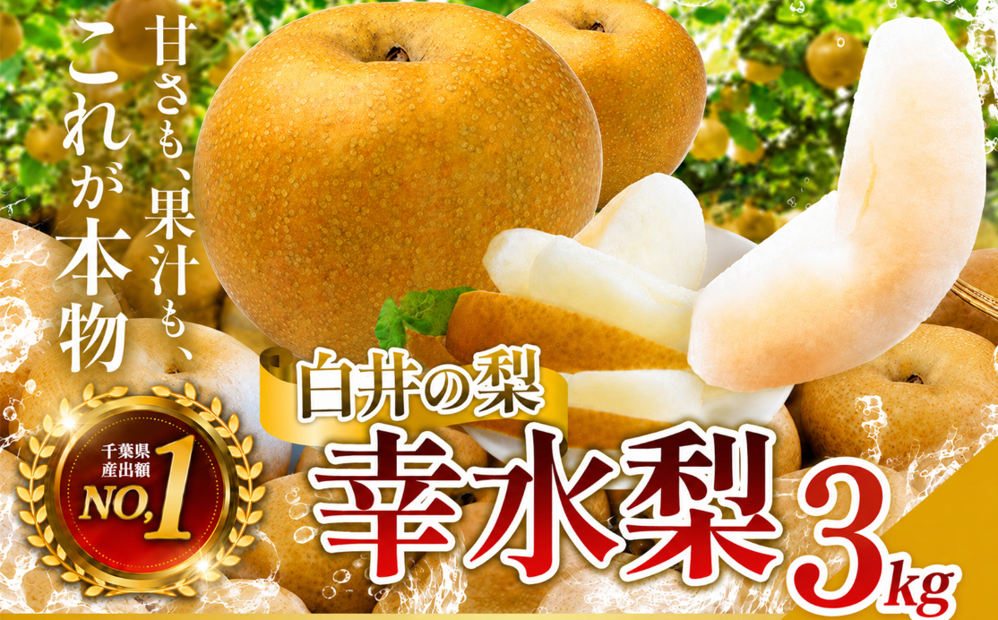 【2027年発送先行予約】 幸水3kg 贈答用