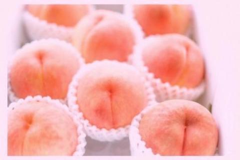 【先行予約／数量限定】京都丹後産 桃 約2kg（6～8玉）（2025年7月中旬～発送）　AM00673