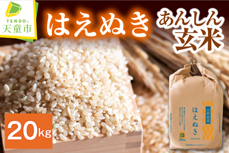 【2026年6月下旬発送】令和7年産 【 あんしん玄米 】 はえぬき 20kg 米 玄米 山形 08-01-219-06C